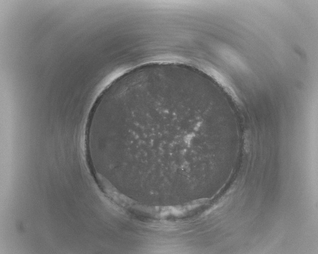 X0000116791229200912241155