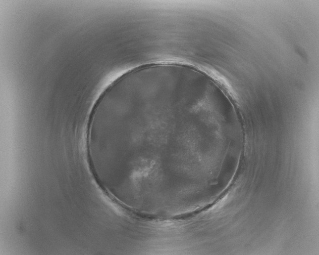 X0000116791231200912241156