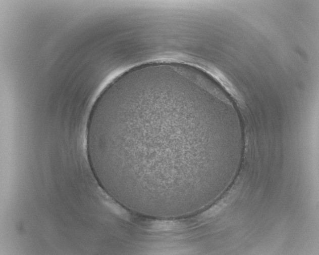 X0000116791232200912241156