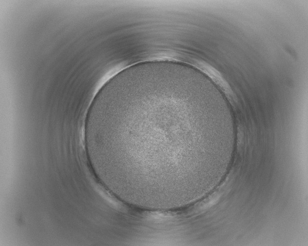 X0000116791234200912241156