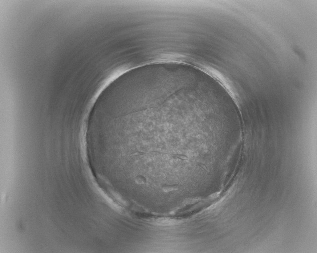 X0000116791235200912241156