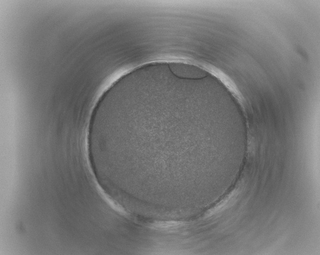 X0000116791237200912241156