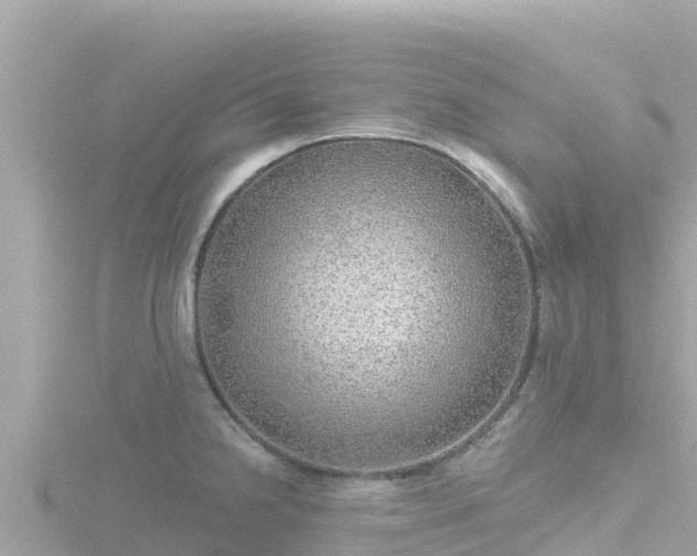 X0000116791238200912241156