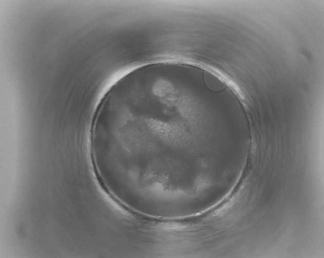 X0000116791239200912241156