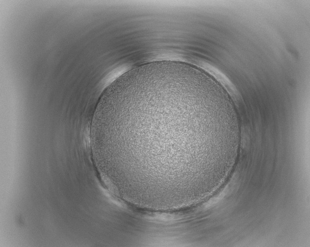 X0000116791241200912241156