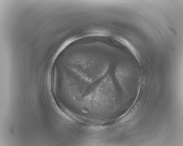 X0000116791243200912241156