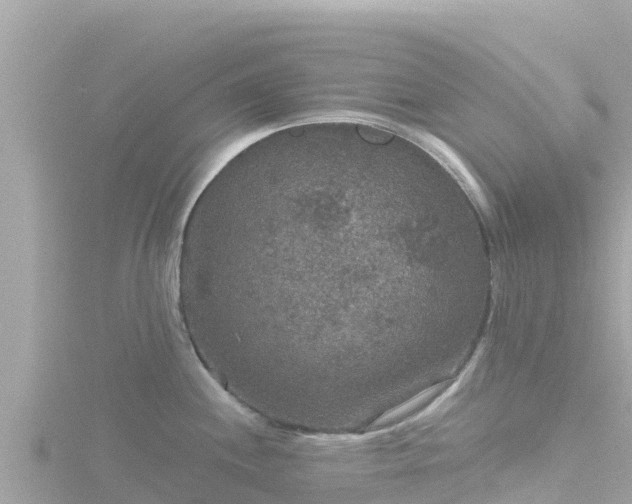 X0000116791244200912241156