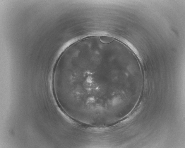 X0000116791245200912241156