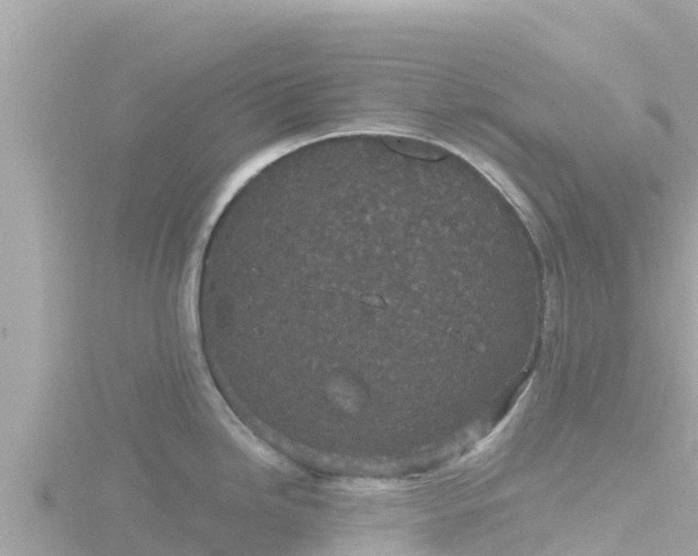 X0000116791246200912241156