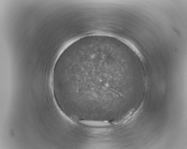 X0000116791247200912241156