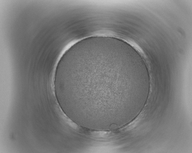 X0000116791248200912241156