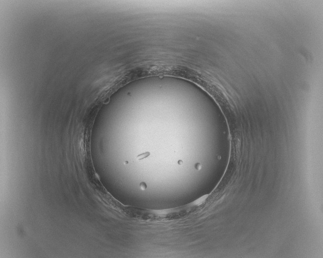 X0000116791250200912241155