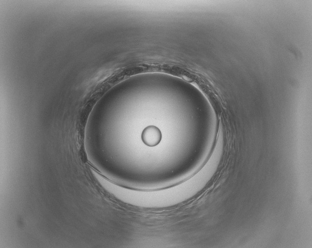 X0000116791253200912241155