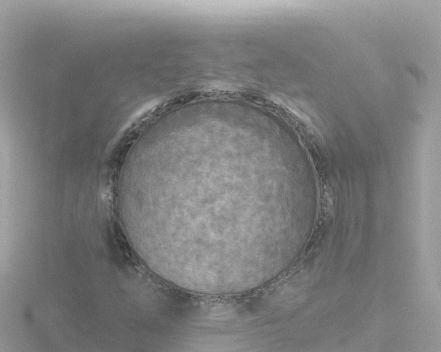 X0000116791254200912241155