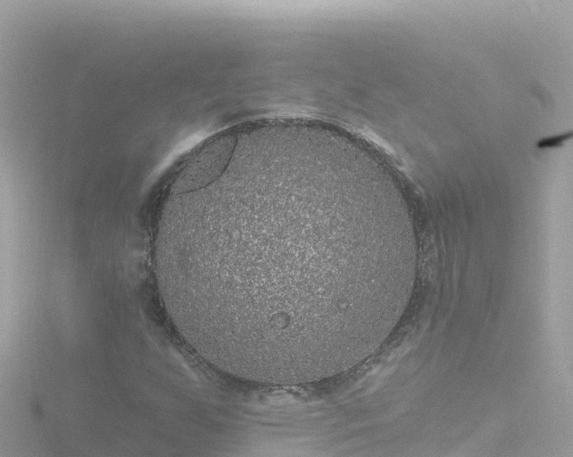 X0000116791255200912241155