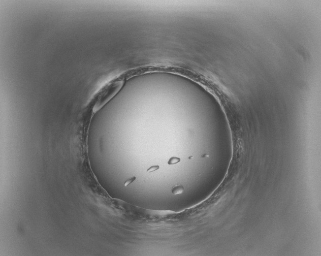 X0000116791256200912241155