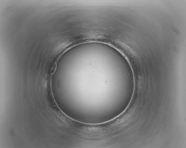 X0000116791257200912241155