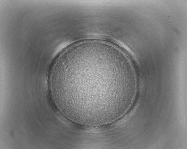 X0000116791259200912241155