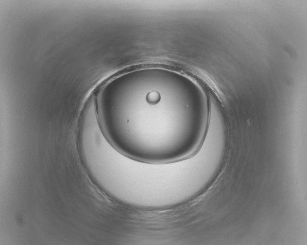 X0000116791260200912241155