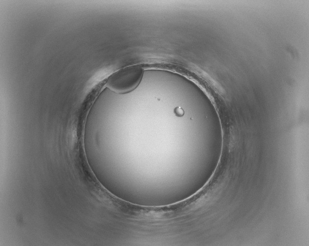 X0000116791261200912241155