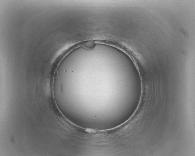 X0000116791262200912241155