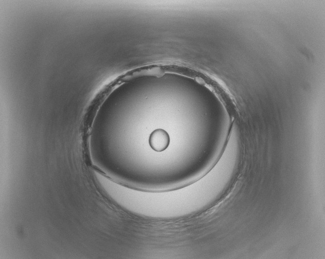 X0000116791263200912241155