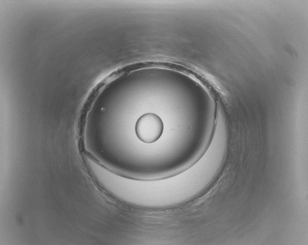 X0000116791264200912241155