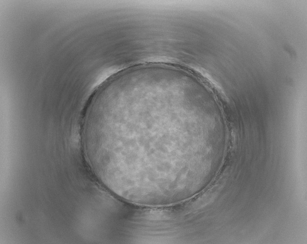 X0000116791266200912241155