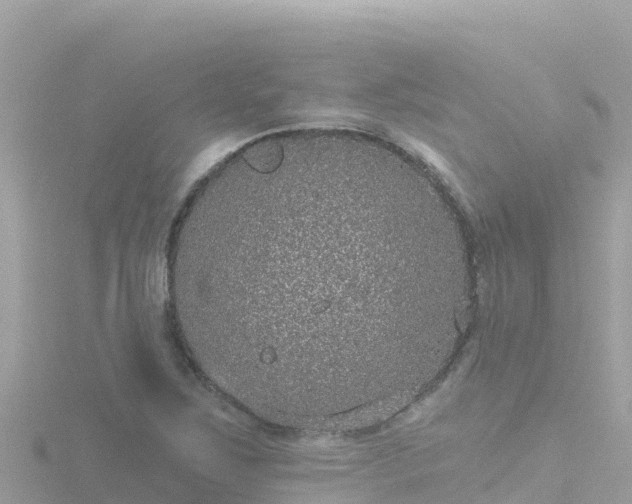 X0000116791267200912241155