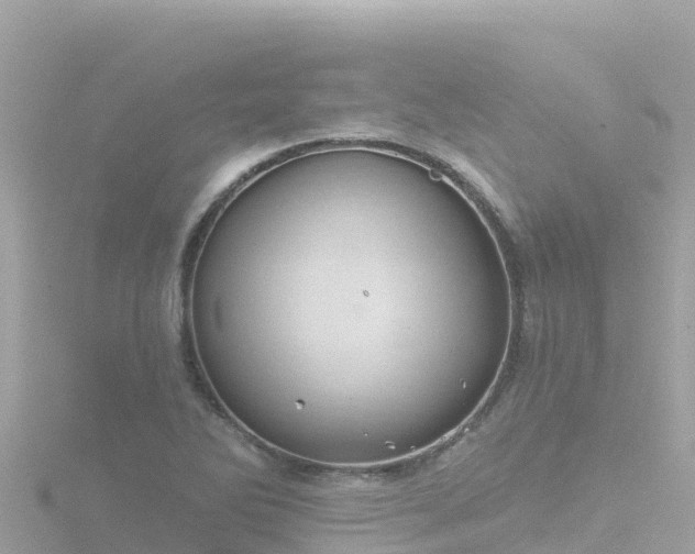 X0000116791270200912241155