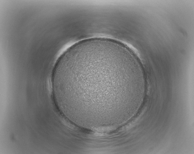 X0000116791271200912241155