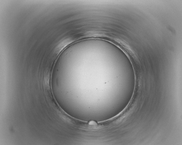 X0000116791273200912241155