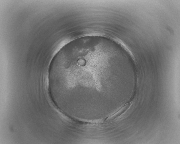 X0000116791274200912241155