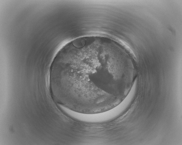 X0000116791275200912241155