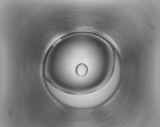 X0000116791277200912241155