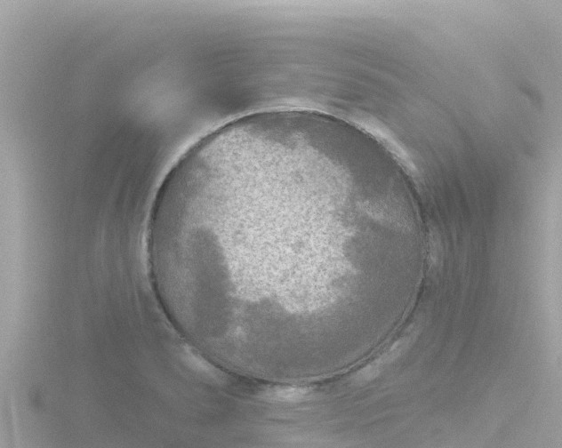 X0000116791278200912241155