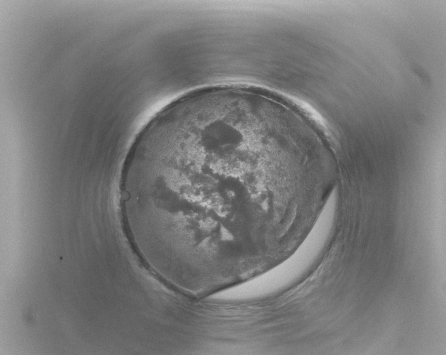 X0000116791279200912241155