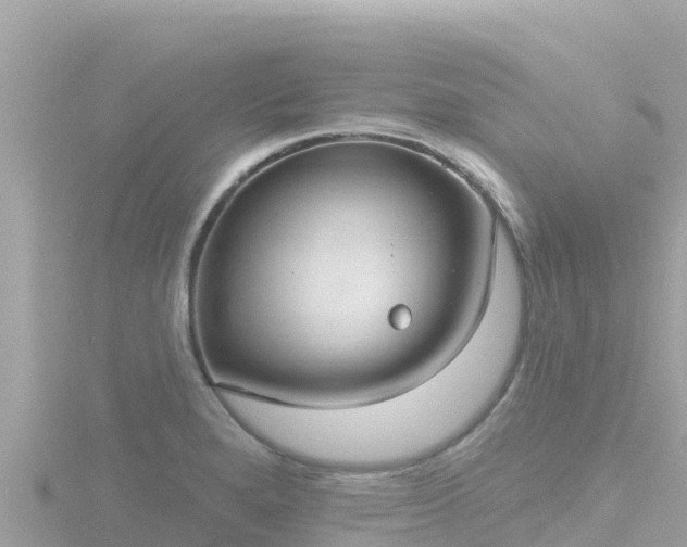 X0000116791280200912241155