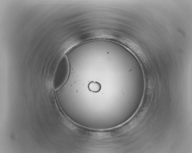 X0000116791281200912241155