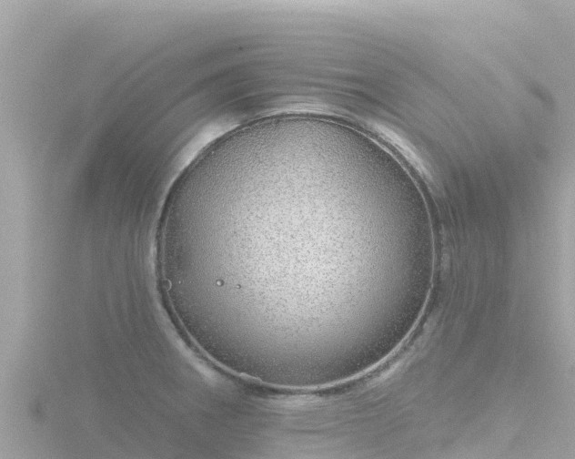 X0000116791282200912241155