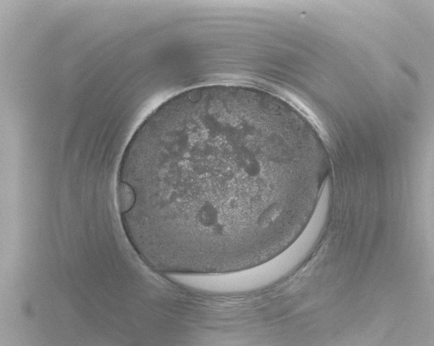 X0000116791283200912241155