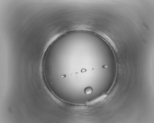 X0000116791285200912241155