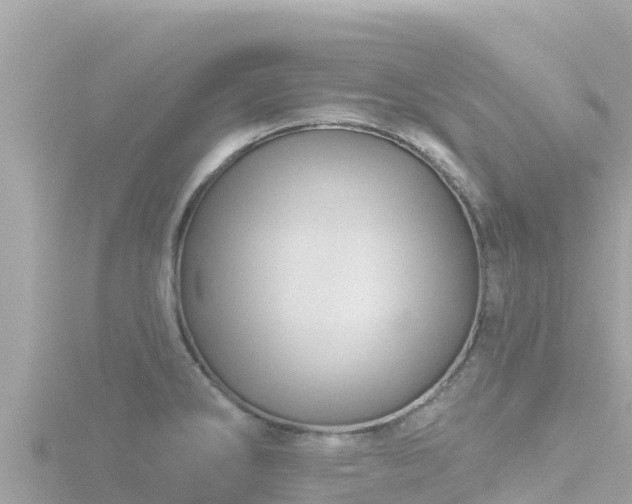 X0000116791286200912241155