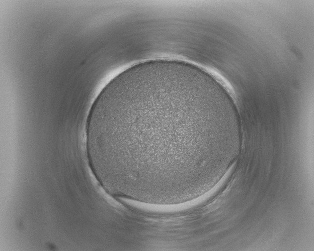 X0000116791287200912241155