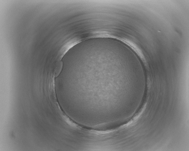 X0000116791289200912241155