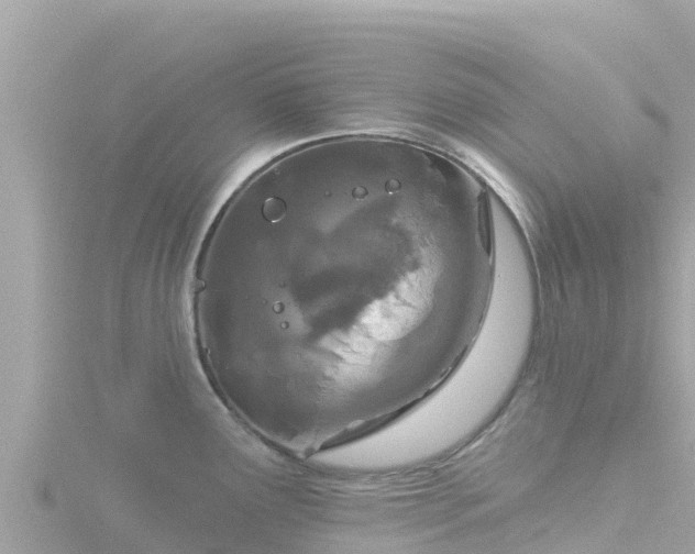 X0000116791291200912241155