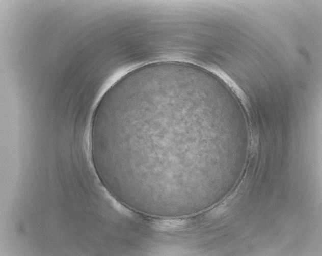 X0000116791294200912241155