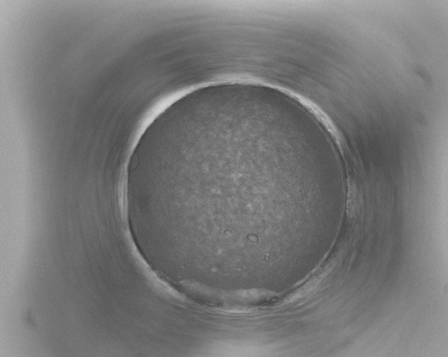 X0000116791295200912241155