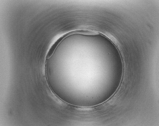 X0000116791296200912241155