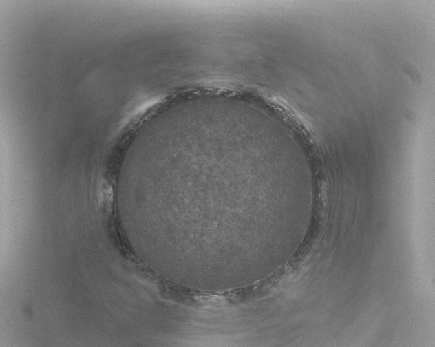 X0000116791302200912241154